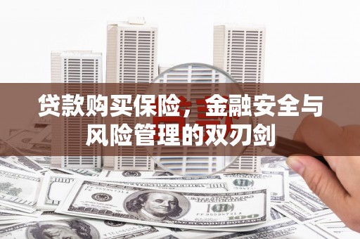 台北贷款购买保险，金融安全与风险管理的双刃剑