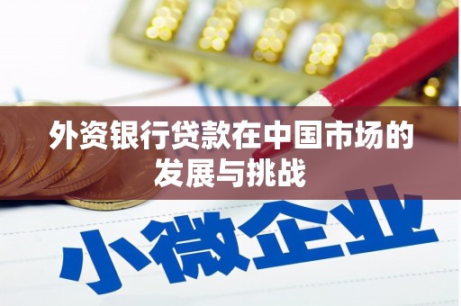 台北外资银行贷款在中国市场的发展与挑战