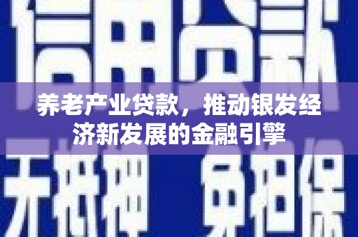台北养老产业贷款，推动银发经济新发展的金融引擎