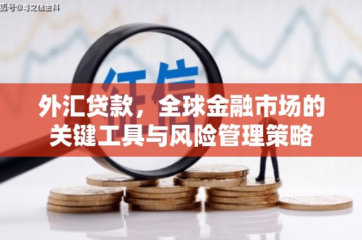 台北外汇贷款，全球金融市场的关键工具与风险管理策略