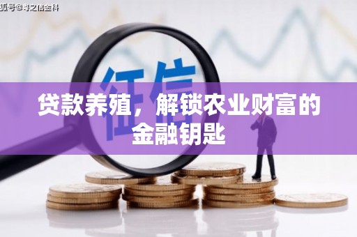 台北贷款养殖，解锁农业财富的金融钥匙