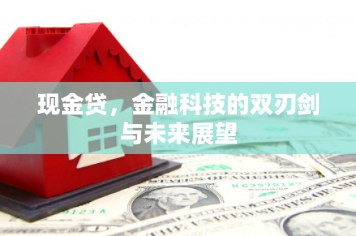 台北现金贷，金融科技的双刃剑与未来展望