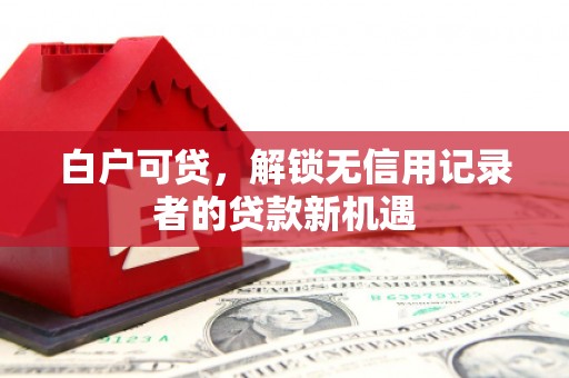 台北白户可贷，解锁无信用记录者的贷款新机遇
