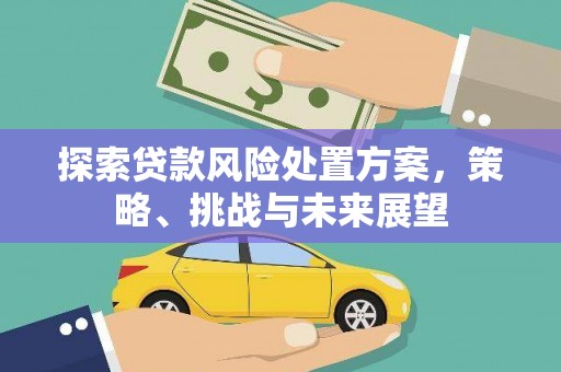 台北探索贷款风险处置方案，策略、挑战与未来展望