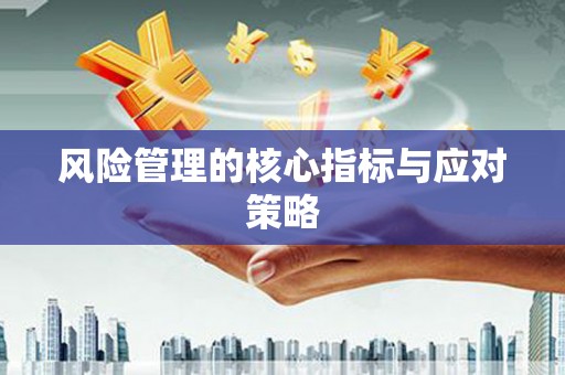 台北风险管理的核心指标与应对策略
