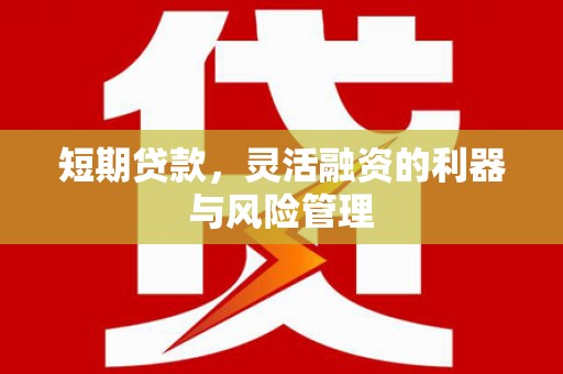 台北短期贷款，灵活融资的利器与风险管理