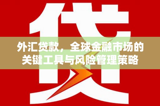 台北外汇贷款，全球金融市场的关键工具与风险管理策略