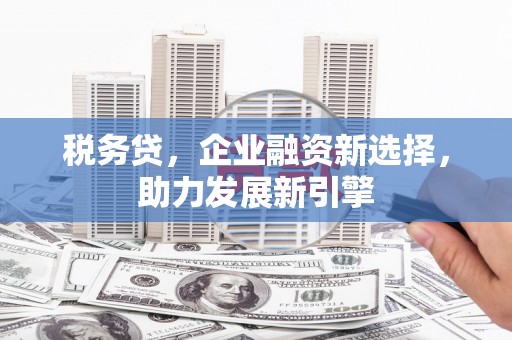 台北税务贷，企业融资新选择，助力发展新引擎