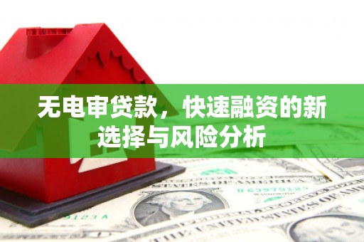 台北无电审贷款，快速融资的新选择与风险分析