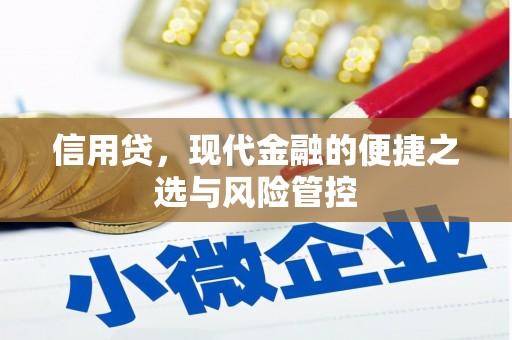 台北信用贷，现代金融的便捷之选与风险管控