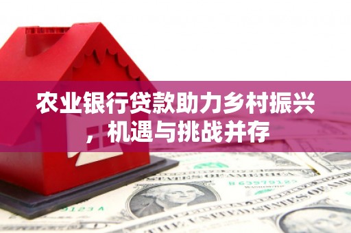 台北农业银行贷款助力乡村振兴，机遇与挑战并存
