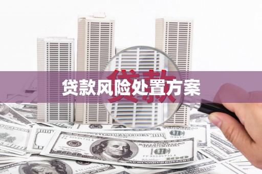 台北贷款风险处置方案