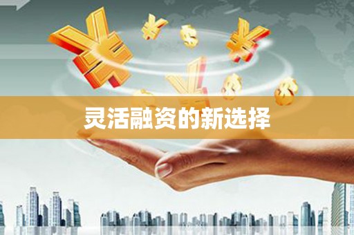 台北灵活融资的新选择