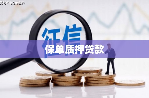 台北保单质押贷款