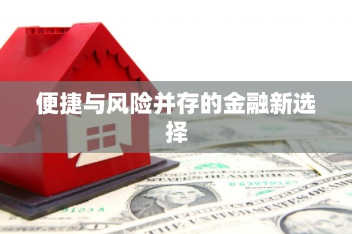 台北便捷与风险并存的金融新选择